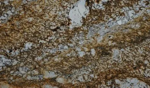 Terranova