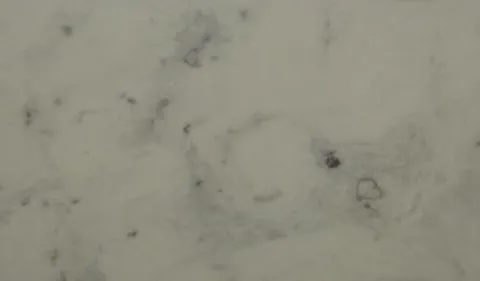 Mármore Aspen White