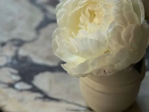 Mesa de centro em pedra com vaso decorativo