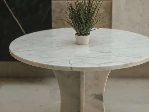 Mesa redonda em mármore Carrara com planta decorativa
